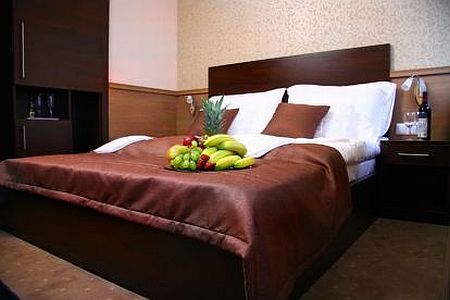 Appartement med kök, sovrum och gratis WiFi i rummen - Hotell Central 21